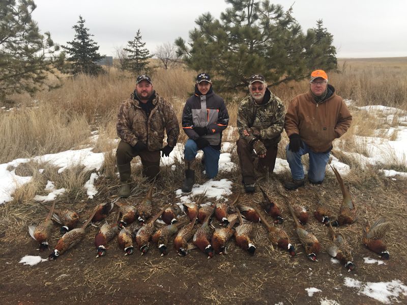 Hunting at Kelly's Limit — recent season