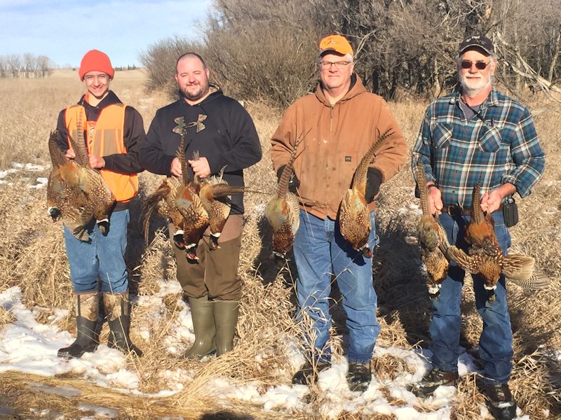 Hunting at Kelly's Limit — recent season