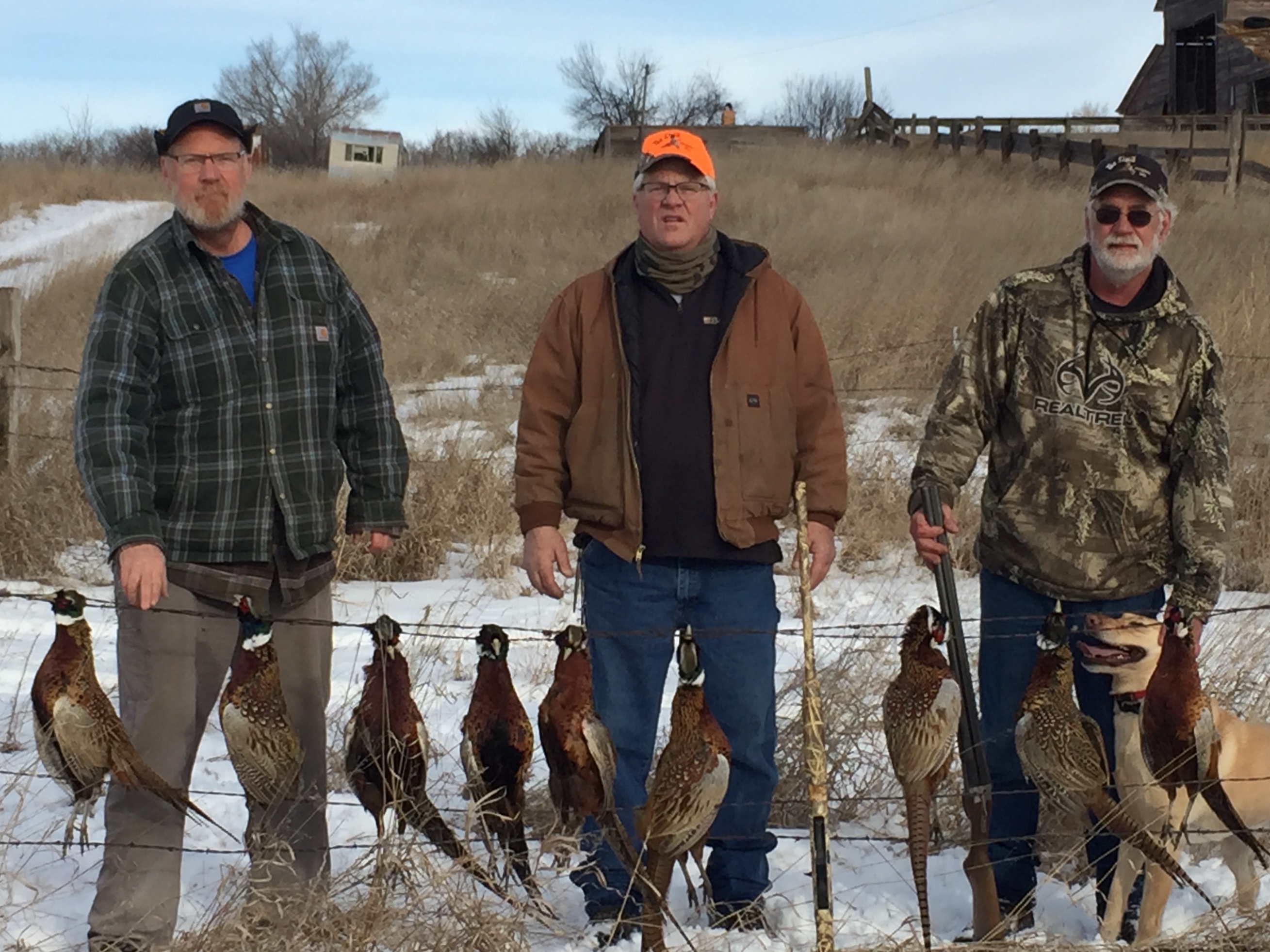 Hunting at Kelly's Limit — recent season